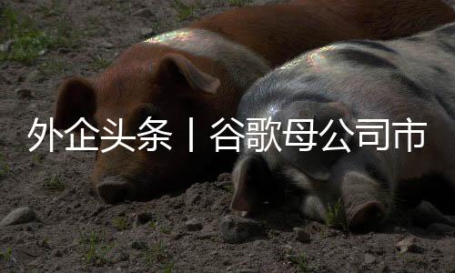 外企頭條丨谷歌母公司市值蒸發超萬億元