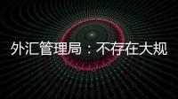 外匯管理局：不存在大規(guī)模資金外逃 “肉還在鍋里”