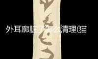 外耳廓臟了怎么清理(貓咪外耳廓臟了怎么清理)