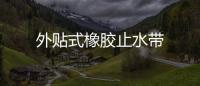 外貼式橡膠止水帶