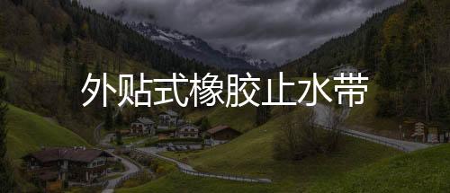 外貼式橡膠止水帶