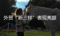 外貿“新三樣”表現亮眼 傳遞何種信號？