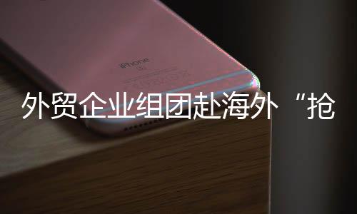 外貿企業組團赴海外“搶”訂單：浙企打首戰，江蘇四川廣東企業緊隨其后