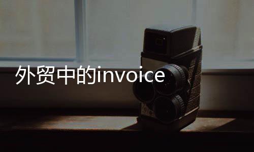 外貿中的invoice（外貿的pro forma invoice 是什么東西 客戶要我提供給他）