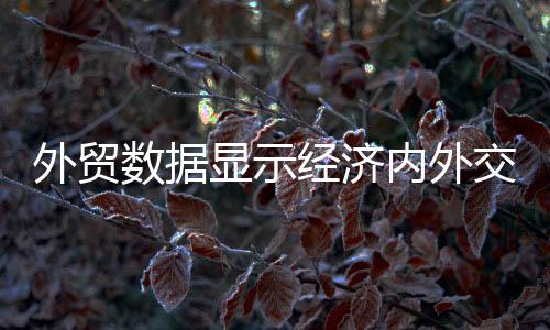 外貿數(shù)據(jù)顯示經(jīng)濟內外交困 政策不松不行