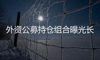 外資公募持倉組合曝光長線資金“越跌越買”
