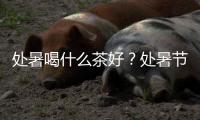 處暑喝什么茶好？處暑節氣四款養生茶品推薦！