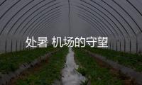 處暑 機場的守望