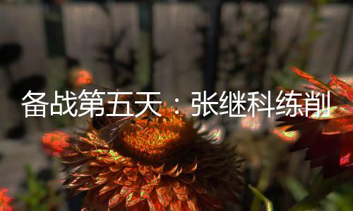 備戰第五天：張繼科練削球 馬龍助李曉霞練發球