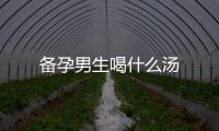 備孕男生喝什么湯