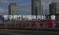 備孕男性與貓咪共處：健康管理與安全問題
