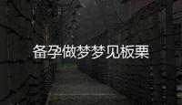 備孕做夢夢見板栗