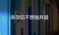 備孕后不想拋棄貓