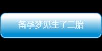 備孕夢見生了二胎