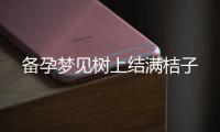 備孕夢見樹上結(jié)滿桔子