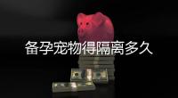 備孕寵物得隔離多久