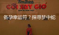 備孕幸運符？探尋夢中蛇凝視自己的隱含意義