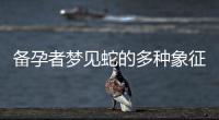 備孕者夢見蛇的多種象征，預示即將迎來育兒的責任與喜悅