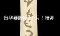 備孕要服用3個月！培卵素吃多久見效需看具體情況