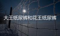 大王紙尿褲和花王紙尿褲哪個好