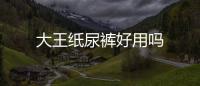 大王紙尿褲好用嗎