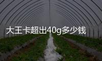 大王卡超出40g多少錢一個g，大王卡超出40g怎么收費