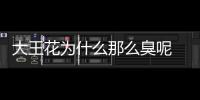 大王花為什么那么臭呢 大王花的花語是什么呢