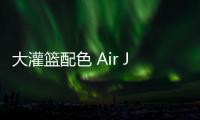 大灌籃配色 Air Jordan 11 Low IE 鞋款官圖釋出，致敬經典影片
