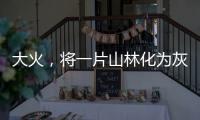大火，將一片山林化為灰燼！這事大意不得，梅州嚴懲野外違規用火！
