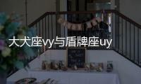 大犬座vy與盾牌座uy（大犬座vy）