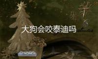 大狗會咬泰迪嗎
