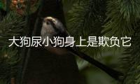 大狗尿小狗身上是欺負它嗎(被小狗尿到身上有什么說法)