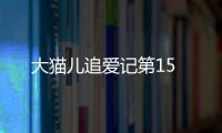 大貓兒追愛記第15