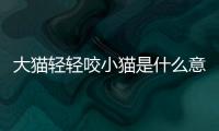 大貓輕輕咬小貓是什么意思(大貓咬的小貓嗷嗷叫安全嗎)