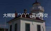 大熊貓“丫丫”正式移交中方！