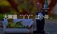 大熊貓“丫丫”過(guò)小年，最新吃播上新！