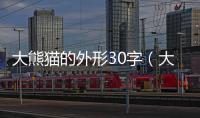 大熊貓的外形30字（大熊貓的外形）