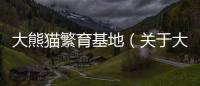 大熊貓繁育基地（關于大熊貓繁育基地的基本情況說明介紹）