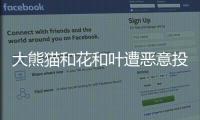 大熊貓和花和葉遭惡意投訴分開 粉絲心碎不已