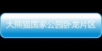 大熊貓國家公園臥龍片區雪豹種群數量超46只