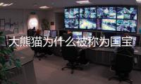 大熊貓為什么被稱為國寶20字（大熊貓為什么被稱為國寶）