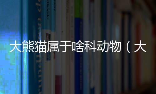 大熊貓屬于啥科動物（大熊貓屬于什么科動物）