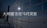 大熊貓'彤彤'6月突發(fā)疾病死亡 多器官衰竭成謎