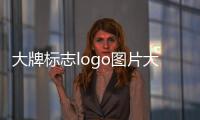 大牌標志logo圖片大全（大牌標志logo圖片大全運動鞋）