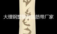 大理鋼塑復(fù)合加筋帶廠家電話
