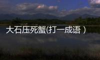 大石壓死蟹(打一成語）