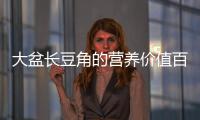 大盆長豆角的營養價值百科