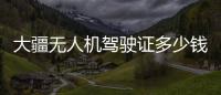 大疆無人機駕駛證多少錢（無人機駕駛證多少錢）