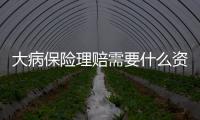 大病保險理賠需要什么資料