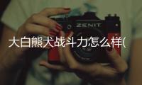 大白熊犬戰斗力怎么樣(大白熊犬的性格)
